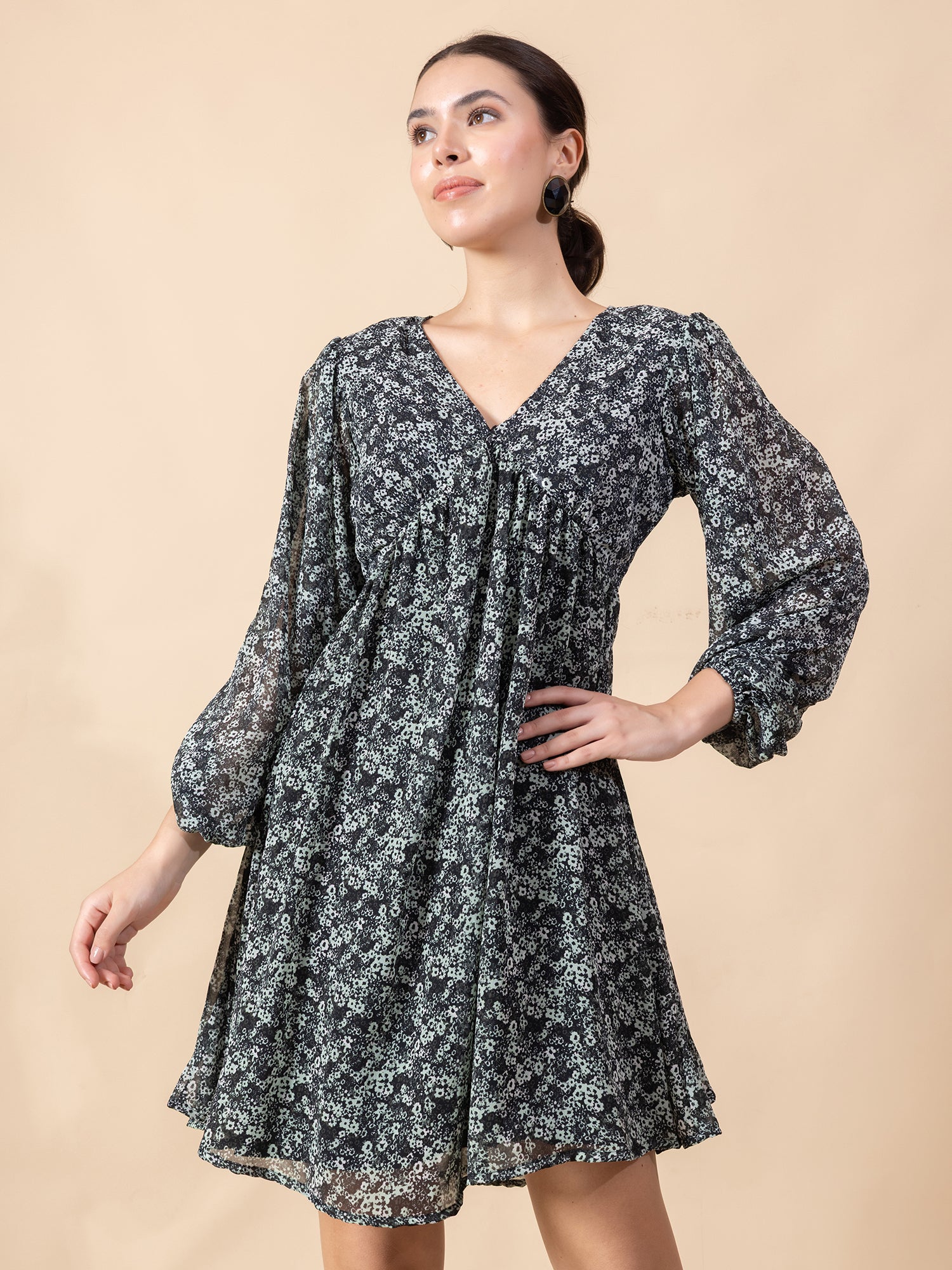 Floral Print Bishop Sleeve Chiffon Fit & Flare Dress